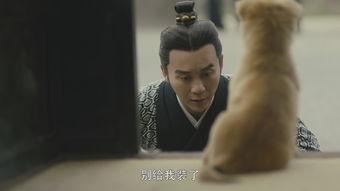 国产男人的天堂